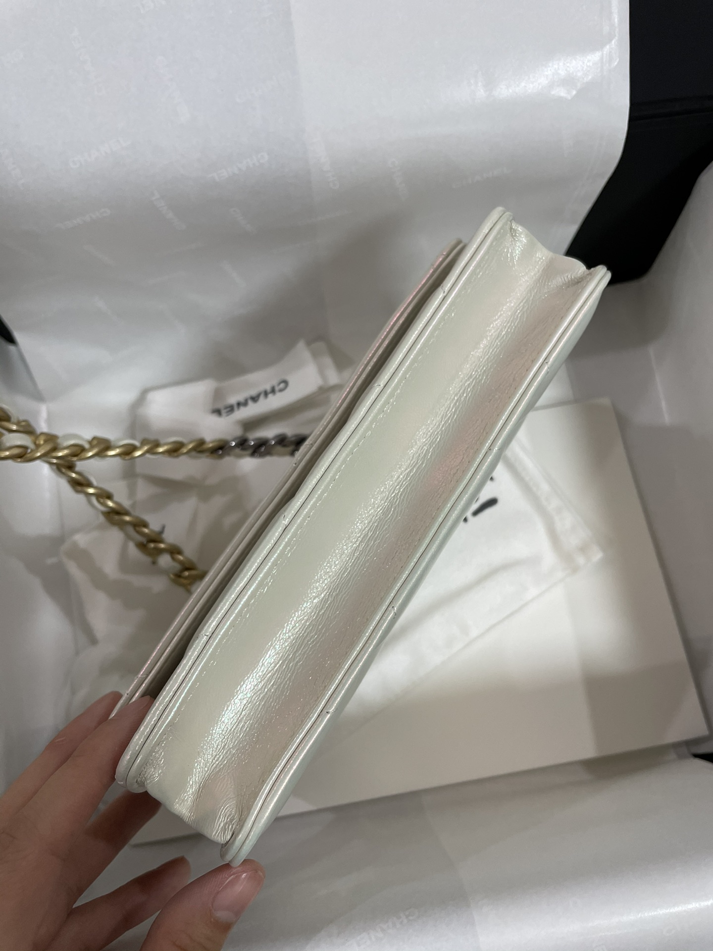 CHANEL WOC 19  珠光人鱼姬色 2021春夏新色 超好看 牛皮 19cm