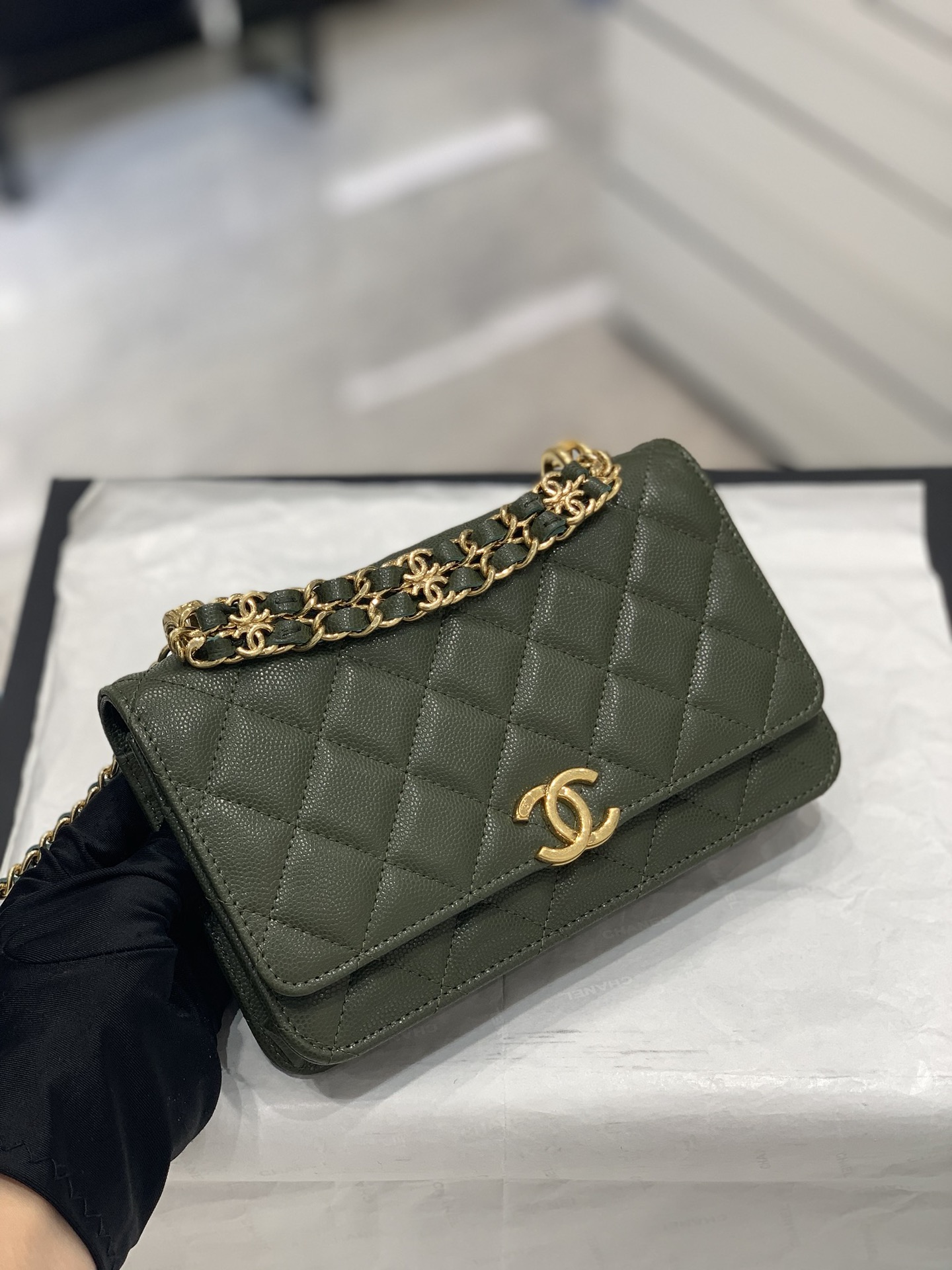 CHanel 22k秋冬新品 双链条手拎包系列woc发财包