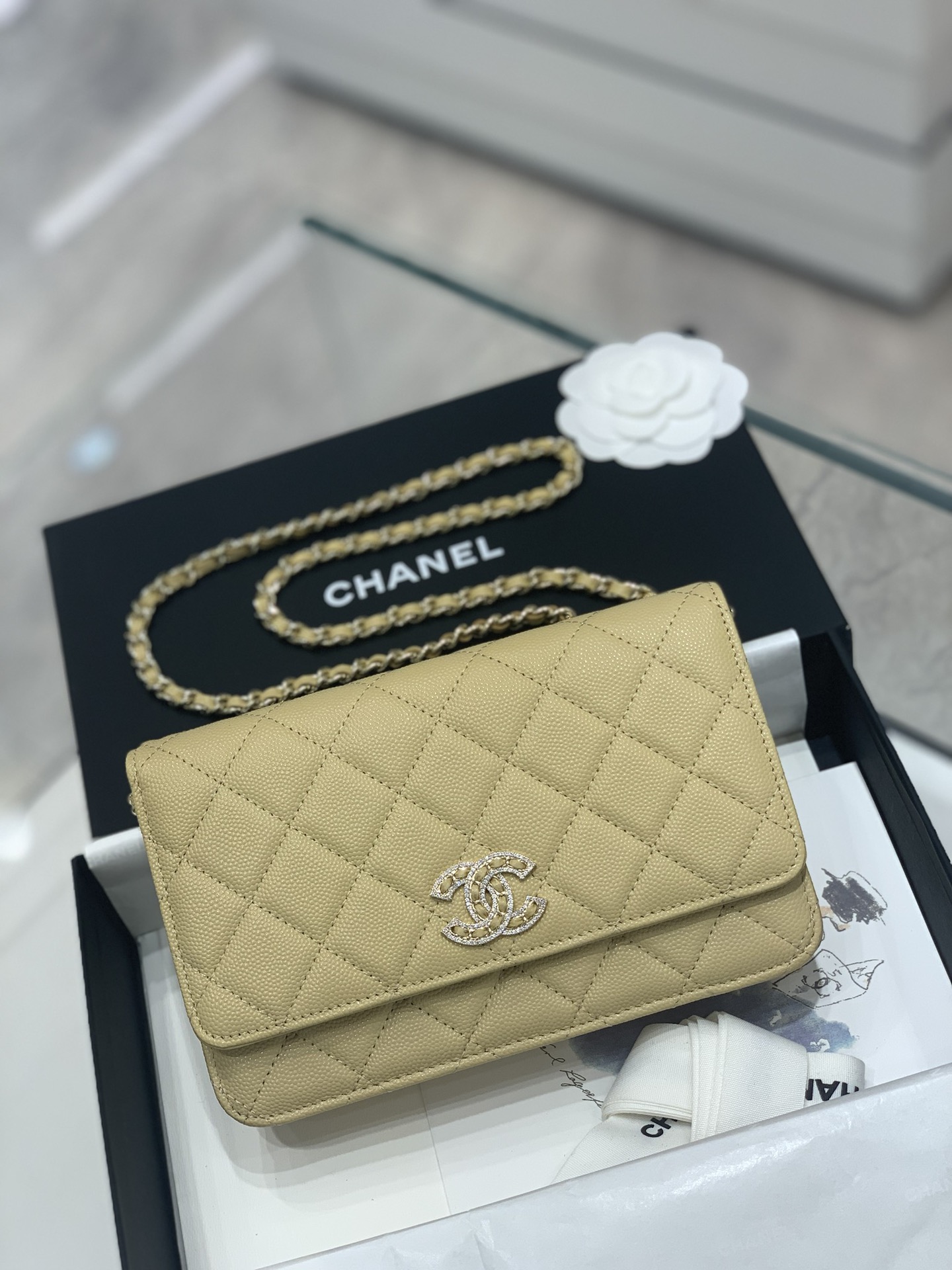 Chanel Wallet on Chain Bag  Black Sevruga Caviar Leather  Baghunter